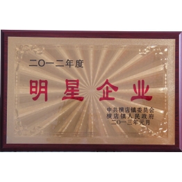 榮譽證(zheng)書(shu)